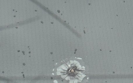 Volkswagen Multivan T6 рестайлинг, 2021 год, 6 000 000 рублей, 14 фотография