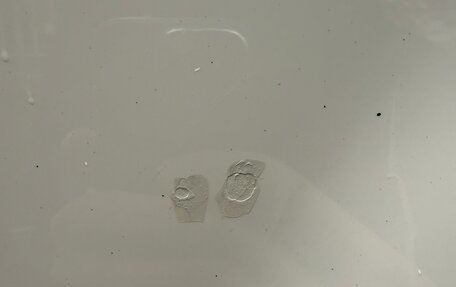 Volkswagen Multivan T6 рестайлинг, 2021 год, 6 000 000 рублей, 17 фотография