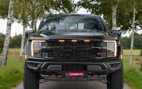 Ford F-150, 2025 год, 20 500 000 рублей, 1 фотография