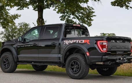 Ford F-150, 2025 год, 20 500 000 рублей, 5 фотография