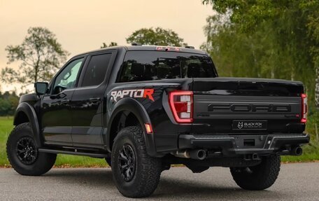 Ford F-150, 2025 год, 20 500 000 рублей, 7 фотография