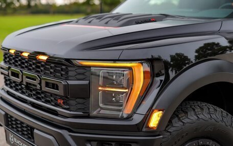 Ford F-150, 2025 год, 20 500 000 рублей, 10 фотография