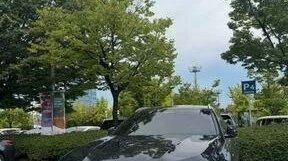 BMW X6, 2023 год, 9 000 000 рублей, 1 фотография