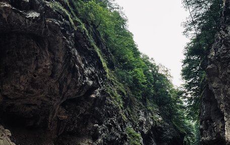 Honda Accord VII рестайлинг, 2006 год, 580 000 рублей, 17 фотография