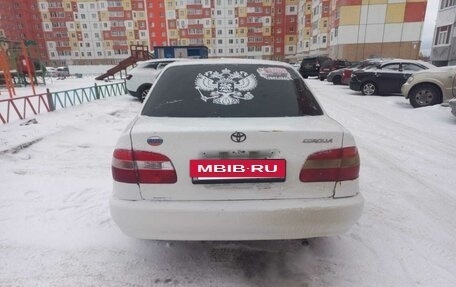 Toyota Corolla, 2000 год, 350 000 рублей, 5 фотография