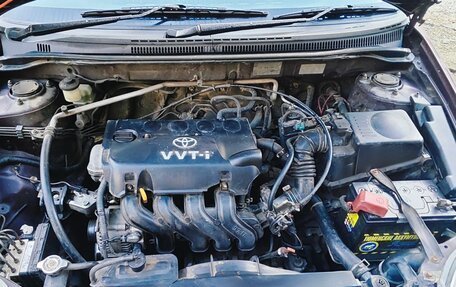 Toyota Corolla, 2003 год, 590 000 рублей, 14 фотография