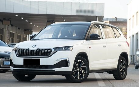 Skoda Kamiq I, 2025 год, 2 301 000 рублей, 1 фотография