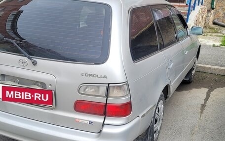 Toyota Corolla, 1999 год, 315 000 рублей, 1 фотография