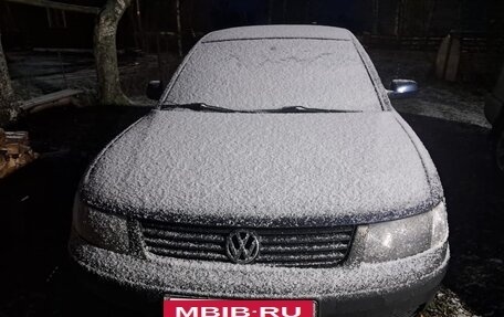 Volkswagen Passat B5+ рестайлинг, 1997 год, 300 000 рублей, 2 фотография