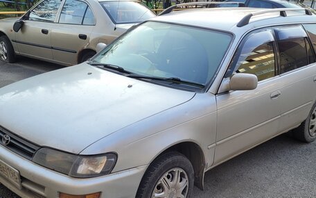 Toyota Corolla, 1999 год, 315 000 рублей, 3 фотография