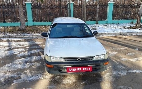 Toyota Corolla, 2002 год, 408 000 рублей, 24 фотография