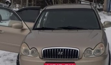 Hyundai Sonata IV рестайлинг, 2004 год, 600 000 рублей, 1 фотография