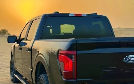 Ford F-150, 2024 год, 4 650 000 рублей, 9 фотография