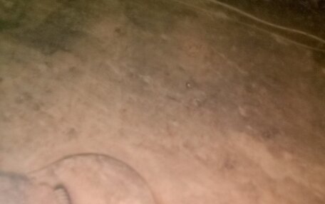 Skoda Octavia, 2006 год, 690 000 рублей, 10 фотография