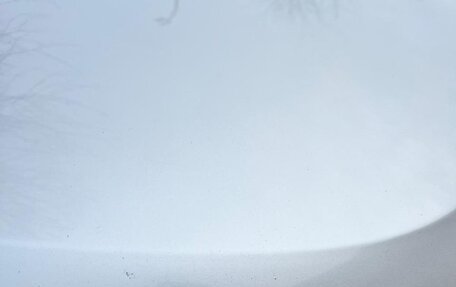 Renault Duster I рестайлинг, 2017 год, 1 050 000 рублей, 3 фотография