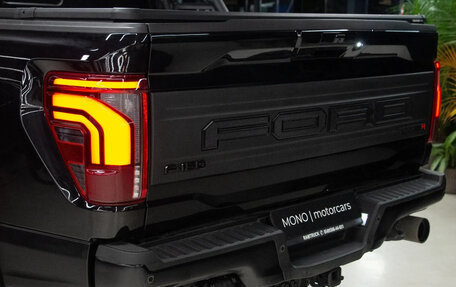 Ford F-150, 2024 год, 22 500 000 рублей, 8 фотография