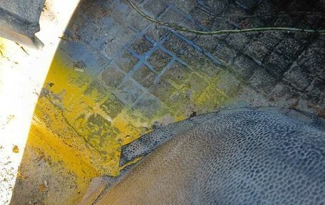 Volkswagen Transporter T3, 1987 год, 600 000 рублей, 17 фотография