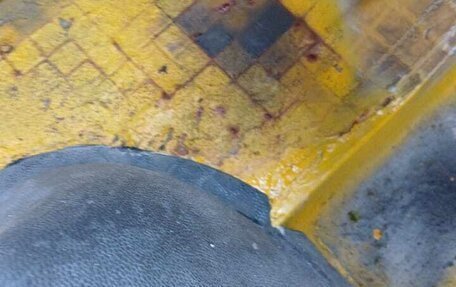 Volkswagen Transporter T3, 1987 год, 600 000 рублей, 24 фотография