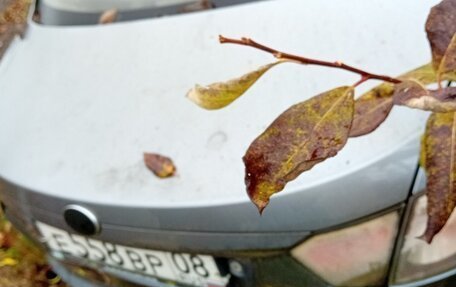 FAW Oley, 2014 год, 263 900 рублей, 8 фотография