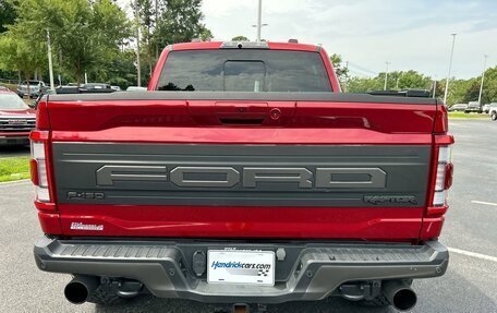 Ford F-150, 2023 год, 10 446 807 рублей, 6 фотография