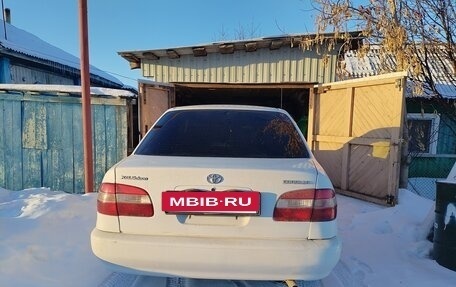 Toyota Corolla, 1997 год, 350 000 рублей, 2 фотография