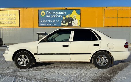 Toyota Corolla, 1999 год, 330 000 рублей, 4 фотография