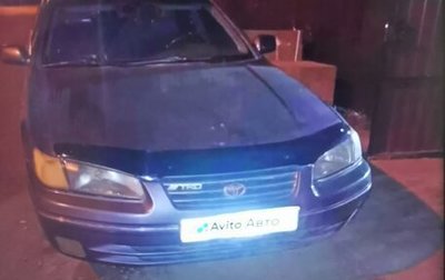 Toyota Camry, 1996 год, 300 000 рублей, 1 фотография