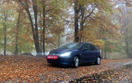 Peugeot 307 I, 2002 год, 520 000 рублей, 19 фотография