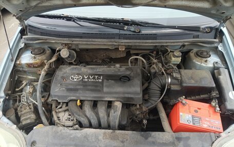 Toyota Corolla, 2006 год, 350 000 рублей, 8 фотография