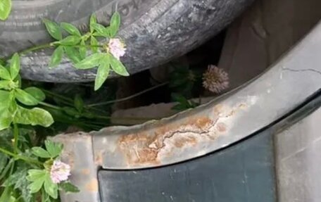 Iran Khodro Samand, 2006 год, 98 000 рублей, 6 фотография