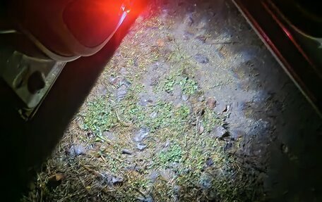 Skoda Octavia, 2007 год, 650 000 рублей, 14 фотография