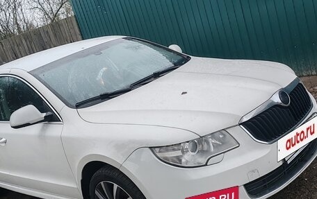 Skoda Superb III рестайлинг, 2008 год, 600 000 рублей, 4 фотография