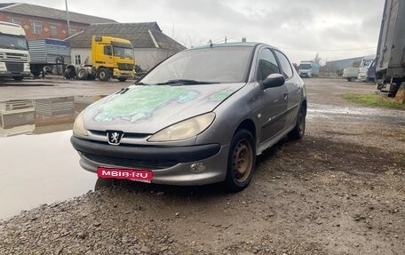 Peugeot 206, 2002 год, 135 000 рублей, 3 фотография