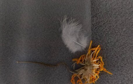 Toyota Land Cruiser Prado 90 рестайлинг, 1999 год, 1 200 000 рублей, 10 фотография