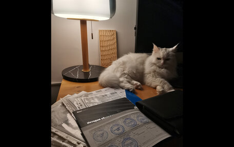 Geely Coolray I, 2022 год, 1 630 000 рублей, 35 фотография