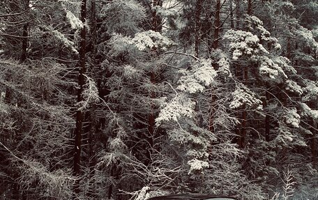 Dodge Challenger III рестайлинг 2, 2010 год, 2 300 000 рублей, 1 фотография