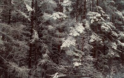 Dodge Challenger III рестайлинг 2, 2010 год, 2 300 000 рублей, 1 фотография