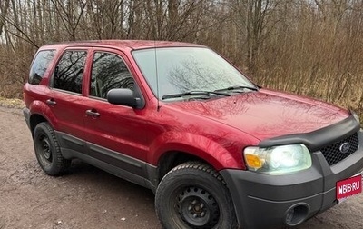 Ford Escape II, 2004 год, 750 000 рублей, 1 фотография