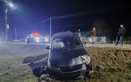 Skoda Fabia II, 2012 год, 270 000 рублей, 2 фотография