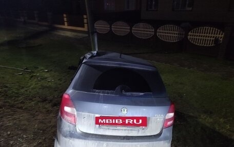 Skoda Fabia II, 2012 год, 270 000 рублей, 3 фотография