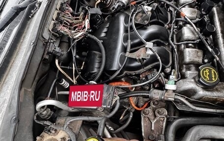 Ford Escape II, 2004 год, 200 000 рублей, 5 фотография