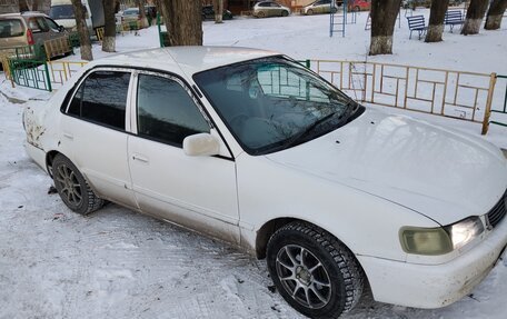Toyota Corolla, 1999 год, 250 000 рублей, 1 фотография