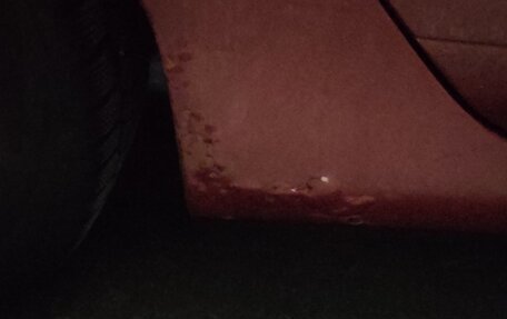 Honda Civic VIII, 2008 год, 635 000 рублей, 12 фотография