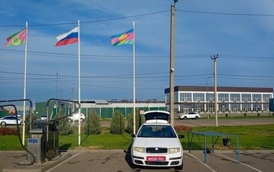 Skoda Fabia I, 2005 год, 340 000 рублей, 1 фотография