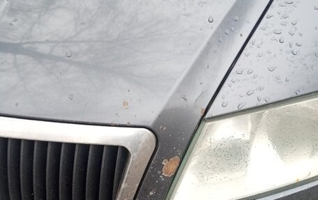 Skoda Octavia, 2006 год, 340 000 рублей, 12 фотография