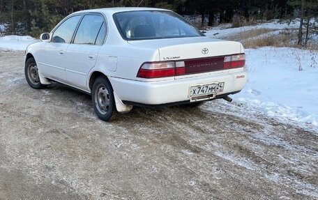 Toyota Corolla, 1994 год, 280 000 рублей, 2 фотография