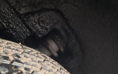 Chevrolet Niva I рестайлинг, 2005 год, 380 000 рублей, 5 фотография