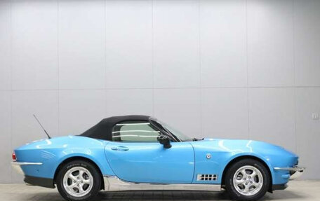 Mitsuoka Rock Star I, 2021 год, 5 500 000 рублей, 10 фотография