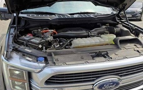 Ford F-150, 2023 год, 9 290 000 рублей, 6 фотография