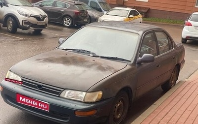 Toyota Corolla, 1992 год, 300 000 рублей, 1 фотография